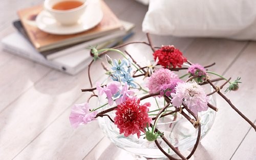Chủ Nhật của bạn: Thần Nông vui vẻ cả ngày Ảnh minh họa