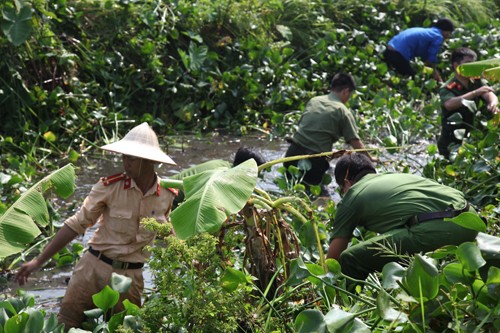 Thanh niên Bắc Ninh triển khai 'Tình nguyện tập trung 2018' Thanh niên Bắc Ninh triển khai 'Tình nguyện tập trung 2018'
