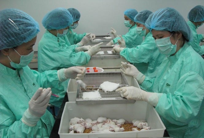 Năm 2021, Việt Nam thử nghiệm lâm sàng vắc-xin COVID-19 giai đoạn hai và ba Năm 2021, Việt Nam thử nghiệm lâm sàng vắc-xin COVID-19 giai đoạn hai và ba