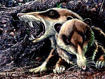 Phát hiện loài sóc răng nanh cổ xưa Phát hiện loài sóc răng nanh cổ xưa