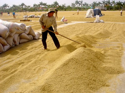 Nông dân bảo lỗ, VFA nói có lời Nông dân bảo lỗ, VFA nói có lời