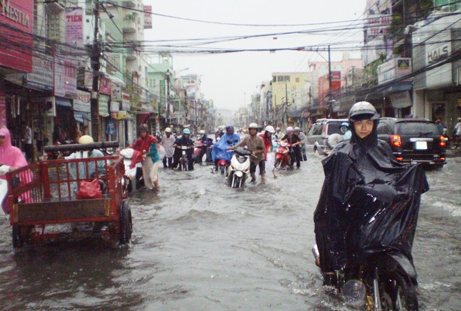 Vừa mưa đã ngập Vừa mưa đã ngập