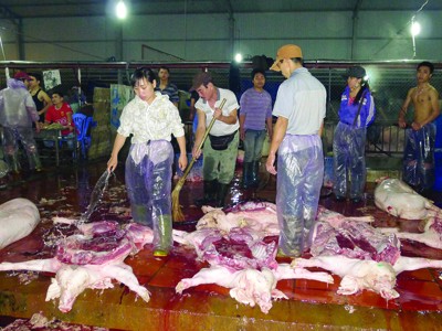 Rùng mình vào lò mổ 'bẩn' lúc nửa đêm Rùng mình vào lò mổ 'bẩn' lúc nửa đêm