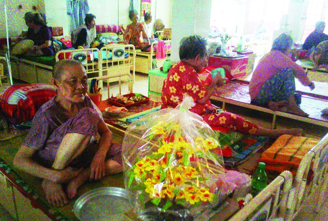 Giấc mơ ghế bố Cành mai xuân Nhâm Thìn Ảnh: T.N.A