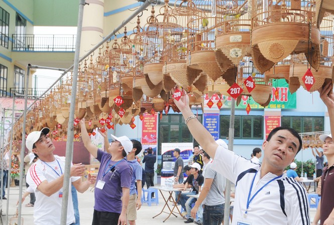 Thi tiếng hót chim Vành Khuyên liên tỉnh lần hai Thi tiếng hót chim Vành Khuyên liên tỉnh lần hai
