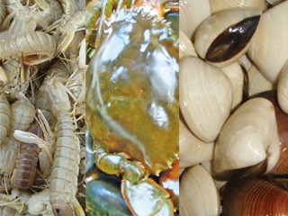 Ăn uống ở người bệnh gout Ăn uống ở người bệnh gout