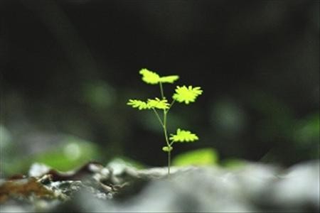 Cư xử đẹp giữa người với người Cư xử đẹp giữa người với người