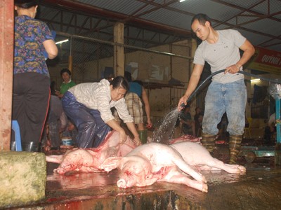Hà Nội cứu lò mổ hiện đại Người dân Hà Nội chủ yếu vẫn ăn thịt từ những cơ sở giết mổ không đảm bảo vệ sinh Ảnh: Phạm Anh