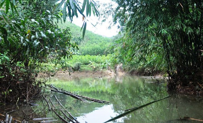Thủy lợi tích nước gây ngập lụt Đường vào khu sản xuất nông, lâm nghiệp của dân vùng cao Nam Đông bị ngập, gây chia cắt, kể từ khi hồ Tả Trạch tích nước đến cao trình +45 mét. Ảnh: N.V.