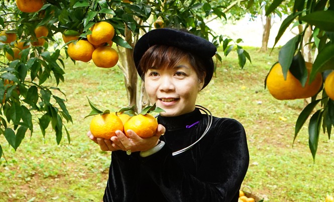 Nữ tiến sĩ giải mã “túi khôn của người Tày” Tiến sỹ Triệu Thị Kiều Dung bên những trái cam, đặc sản quê hương.