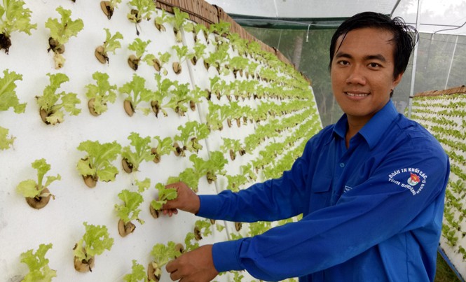 Chàng trai Khmer tiên phong trồng rau công nghệ mới Anh Dương Minh Trung bên vườn rau khí canh công nghệ cao của mình. Ảnh: Hòa Hội.
