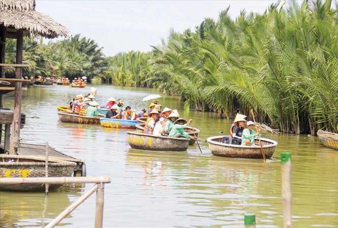 Rừng miền Tây sau lưng phố Hội Một sông nước “miền Tây” trong lòng Hội An thu hút du khách thập phương. Ảnh: Thanh Trần.
