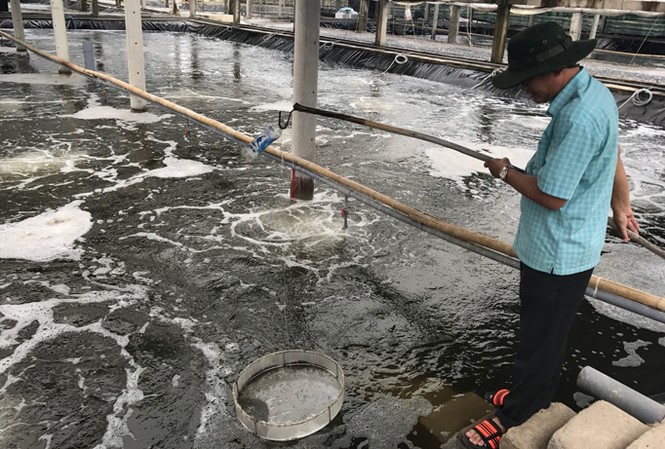 Không vay được vốn, DN nuôi tôm sạch kêu cứu Mặc dù không vay được vốn, nhưng Công ty Đức Thắng đã đầu tư 200 tỷ đồng để thực hiện dự án nuôi tôm theo công nghệ sạch.