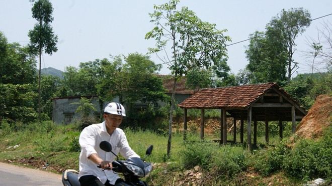 Nỗi bất lực của các nông trường Những căn nhà tạm được dựng lên trên đất nông trường Bãi Trành (Như Xuân, Thanh Hóa) để “xí phần”. Ảnh: Phạm Thanh