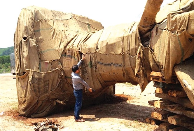 Hôm nay sẽ có thông tin chính thức 3 cây “khủng” vừa bị tạm giữ