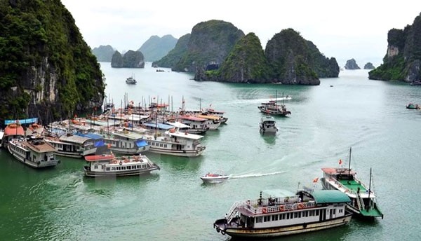 Tàu du lịch chở 47 khách bị bục nước trên vịnh Hạ Long Hoạt động của tàu du lịch tại vịnh Hạ Long