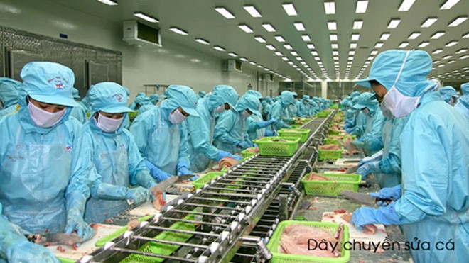 IDI vươn tầm chinh phục thị trường mới Khung cảnh nhôn nhịp của hàng ngàn công nhân trong nhà máy đang miệt mài thi đua sản xuất