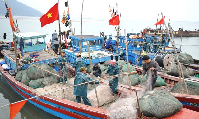 Khẩn trương giải ngân đền bù cho ngư dân 4 tỉnh miền Trung Bốn tỉnh miền Trung đang khẩn trương giải ngân đền bù cho ngư dân bị thiệt hại do trong sự cố môi trường do Formosa xả thải.