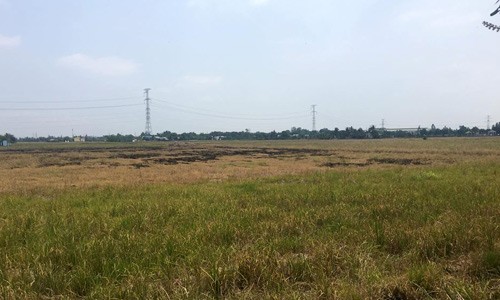 Đất nền Sài Gòn quay đầu giảm giá Đất nền vùng ven bắt đầu ghi nhận dấu hiệu giảm giá từ giữa cuối tháng 5/2017. Ảnh: V.L.