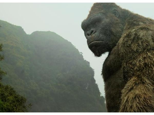 Xem Xem "Kong: Skull Island" để thêm một lần tự hào về đất nước mình!