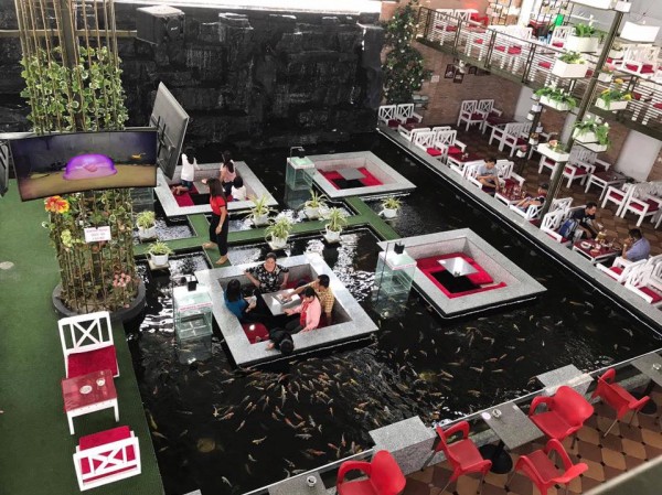 Giới trẻ rủ nhau check-in tại quán cafe nằm “lọt thỏm” giữa hồ cá Koi đủ màu sắc Giới trẻ rủ nhau check-in tại quán cafe nằm “lọt thỏm” giữa hồ cá Koi đủ màu sắc
