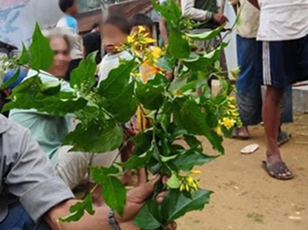Lai Châu: Nam sinh tự tử vì không ngăn được bố bạo hành mẹ Lai Châu: Nam sinh tự tử vì không ngăn được bố bạo hành mẹ