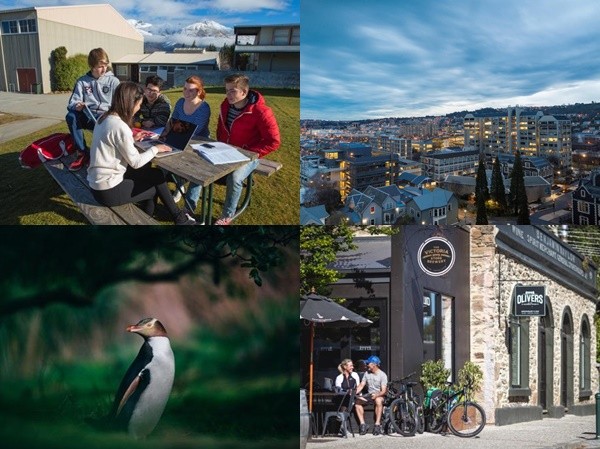 Khám phá thành phố du học Dunedin qua những biệt danh thú vị Khám phá thành phố du học Dunedin qua những biệt danh thú vị