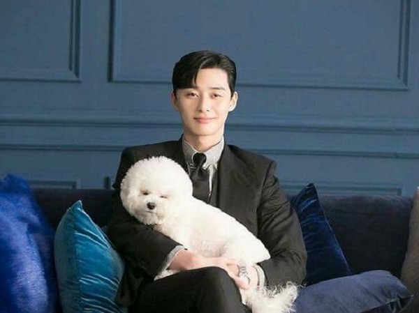Park Seo Joon chơi lớn đưa cún cưng đi quay Youtube và cái kết không ngờ Park Seo Joon chơi lớn đưa cún cưng đi quay Youtube và cái kết không ngờ