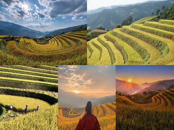 Đồi Móng Ngựa, điểm chụp lúa chín thu hút nhiếp ảnh gia ở Mù Cang Chải Đồi Móng Ngựa, điểm chụp lúa chín thu hút nhiếp ảnh gia ở Mù Cang Chải