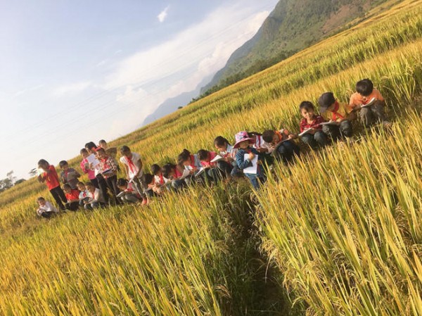 Cô giáo dẫn học trò ra tận cánh đồng để làm đề Văn tả cánh đồng quê hương Cô giáo dẫn học trò ra tận cánh đồng để làm đề Văn tả cánh đồng quê hương