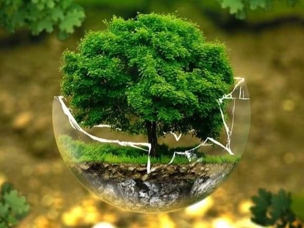 Bảo vệ môi trường không phải là “giải cứu Trái Đất”, mà là tỉnh táo cứu lấy chính chúng ta! Bảo vệ môi trường không phải là “giải cứu Trái Đất”, mà là tỉnh táo cứu lấy chính chúng ta!