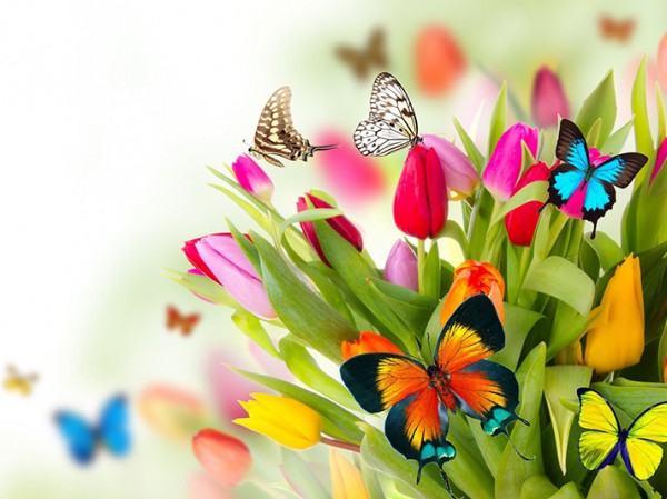 Horoscope tuần: Nghỉ học vì dịch, chứ không còn là nghỉ Tết nữa đâu 12 cung hoàng đạo nhé! Horoscope tuần: Nghỉ học vì dịch, chứ không còn là nghỉ Tết nữa đâu 12 cung hoàng đạo nhé!