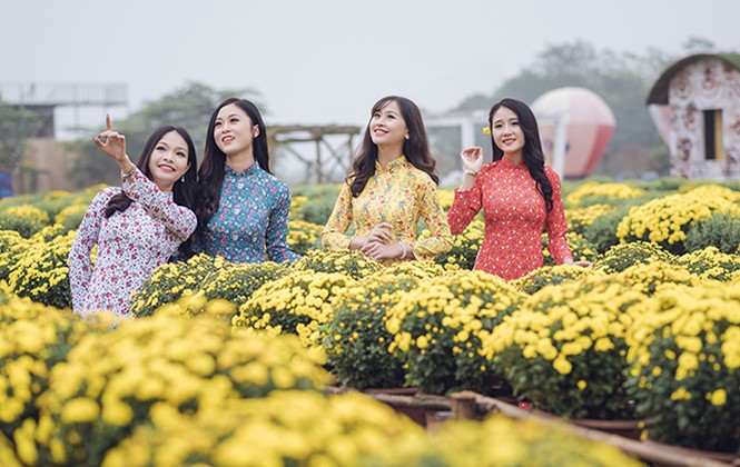 Ngất ngây cánh đồng Cúc mâm xôi giữa Hà Nội Ngất ngây cánh đồng Cúc mâm xôi giữa Hà Nội