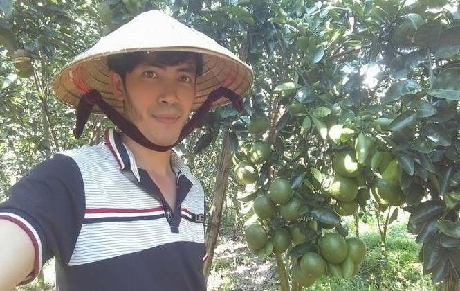 Bỏ phố về quê trồng cam sành Bỏ phố về quê trồng cam sành