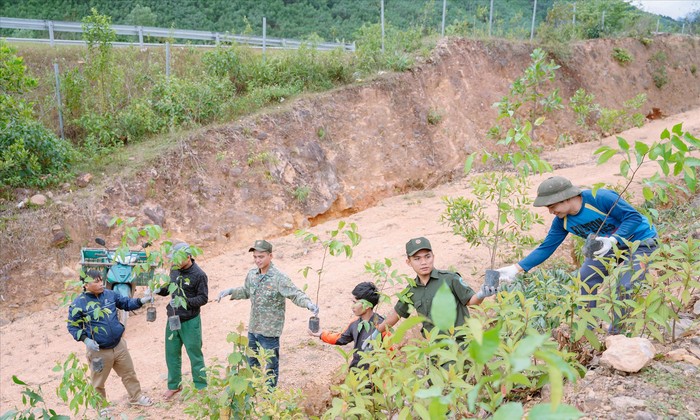 Bà con Cơ Tu ở thôn Tà Lang, Giàn Bí cùng dọn dẹp rừng cộng đồng hoang hóa để trồng cây gỗ lớn, phủ xanh đồi trọc