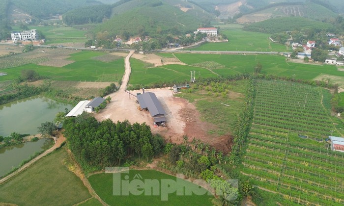 Xưởng chế biến gỗ khủng xây dựng trái phép trên đất nông nghiệp cách UBND xã 300m
