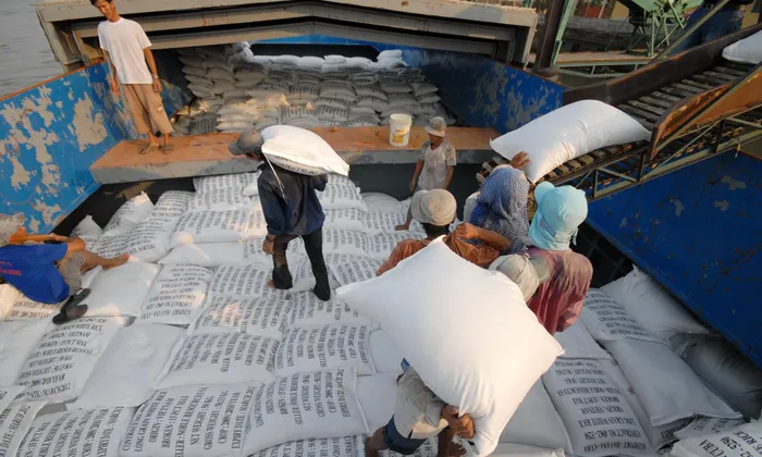 Xuất khẩu gạo tiếp tục khởi sắc?