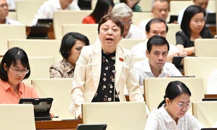Đại biểu Quốc hội: Thanh tra bị 'trói tay, trói chân' rất nhiều 