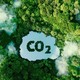Lộ trình để Việt Nam bán tín chỉ carbon ra thế giới 