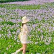 Ngắm cánh đồng bèo tây tím đẹp hút hồn tại Hà Nội 