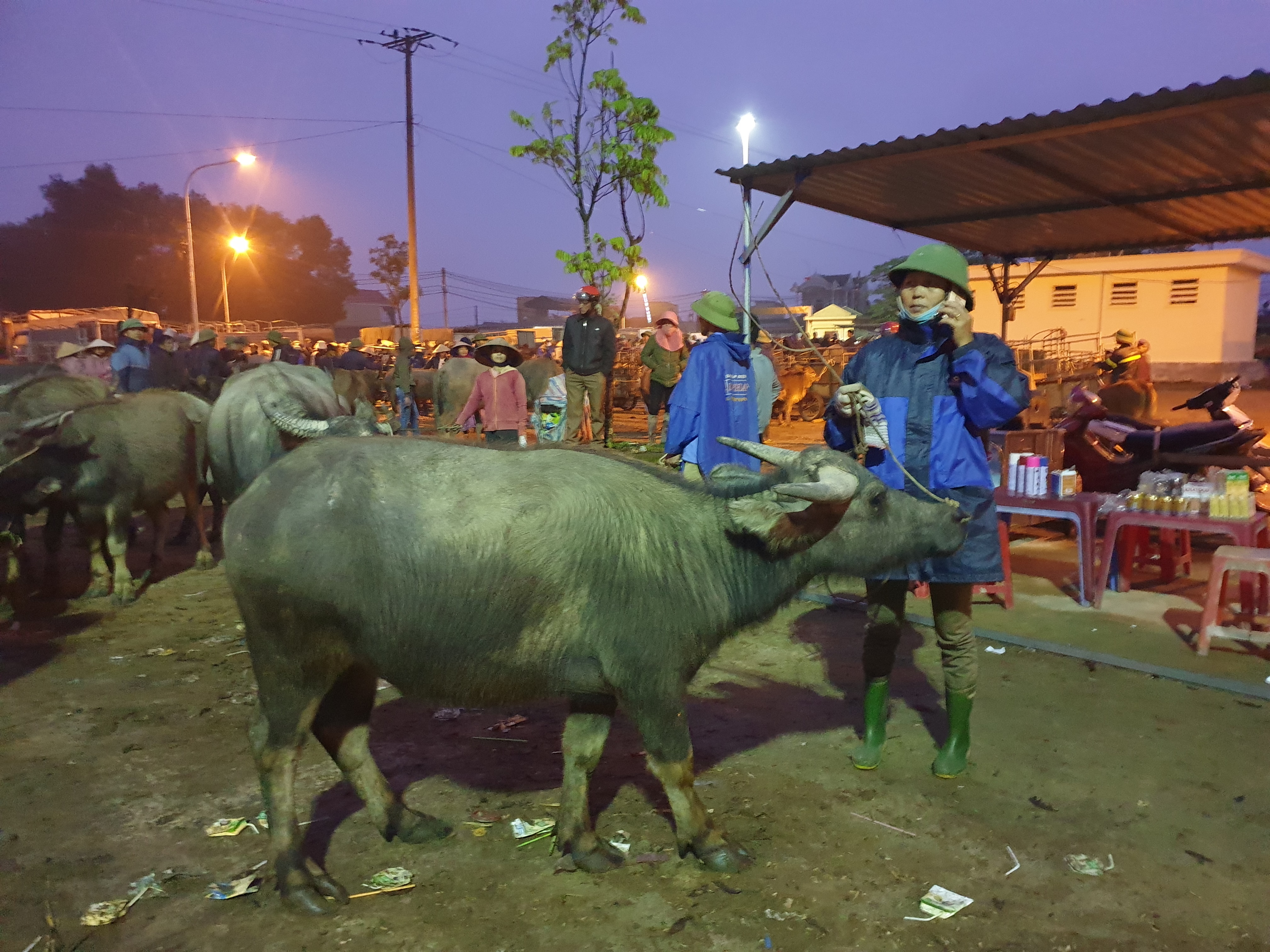 “Tất niên” phiên chợ trâu bò lớn nhất Bắc Trung Bộ - ảnh 4