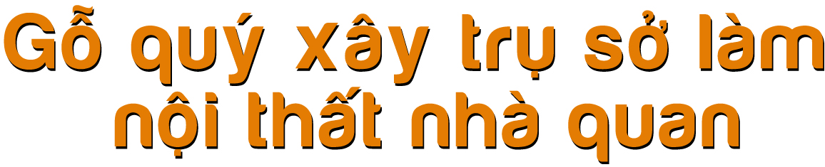 Rừng bị thảm sát, gỗ lậu về đâu? - ảnh 1