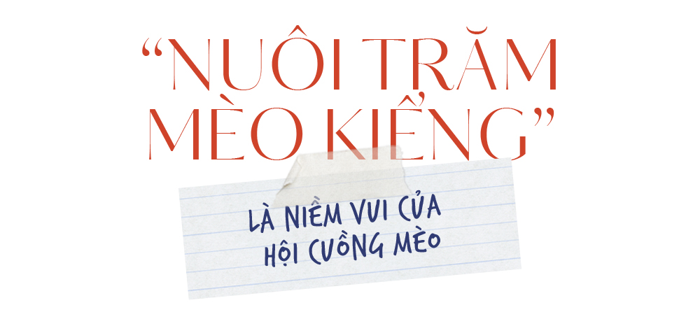 THPT Nguyễn Thị Minh Khai: Ai rồi cũng sẽ nhớ thương - ảnh 11