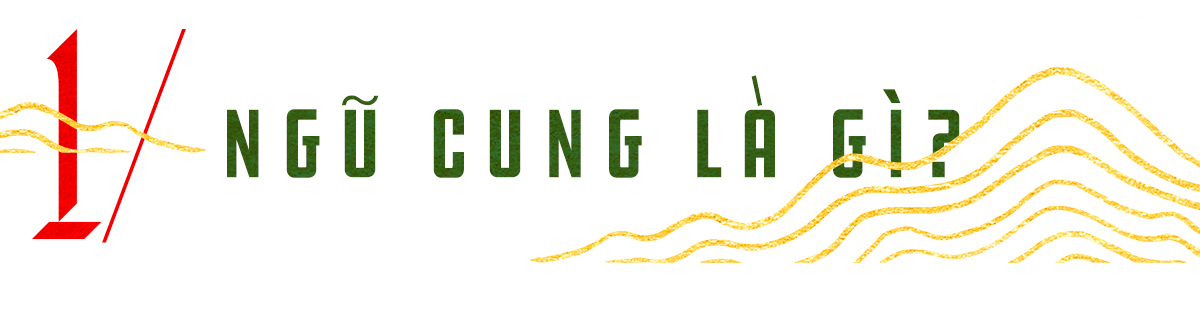 Nhạc Ngũ Cung - Có chắc mỏ vàng là đây? - ảnh 1