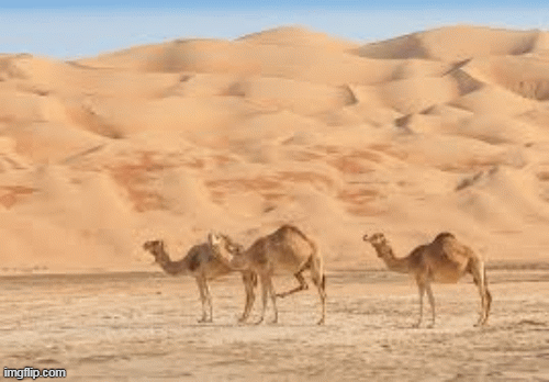 1001 thắc mắc: Sao sa mạc lắm cát, nấm đá hình thành như thế nào?