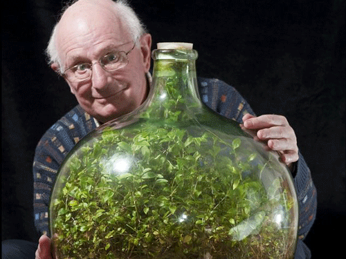 Vườn rau 53 năm trong chai thủy tinh kín
