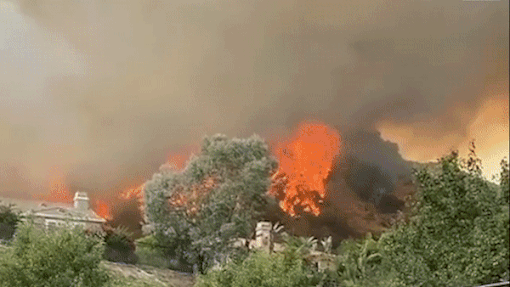 Đám cháy lớn khiến hơn 10.000 m2 đất bị thiêu rụi