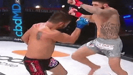 Võ sĩ MMA tung đòn gối bay knock-out đối thủ