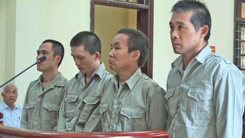 Nhóm buôn bán, vận chuyển ma túy ra tòa lĩnh án *ảnh: Nguyễn Thái.