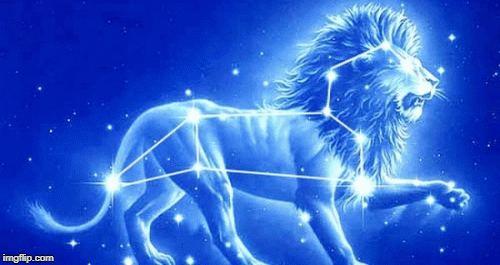 12 chòm sao ngày thứ 5: Sư tử lười biếng, Nhân mã bốc đồng